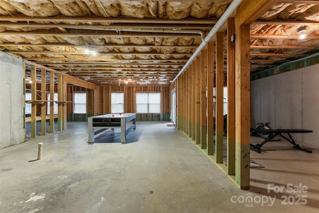 17514 Julees Walk Ln, Davidson, NC 28036 - view of below grade area