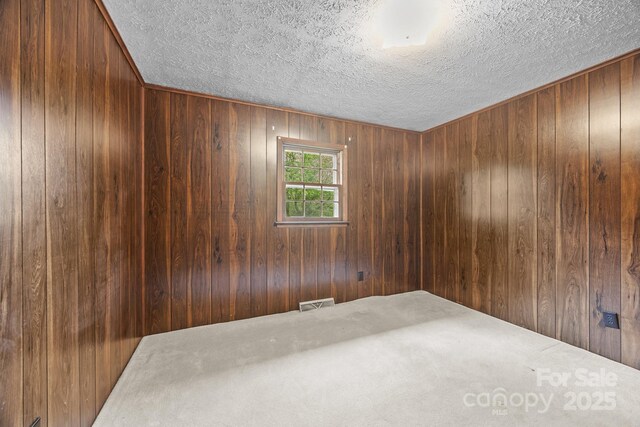 18 Progress Ln, Candler, NC 28715 - spare room with a textured ceiling, wooden walls, and carpet floors
