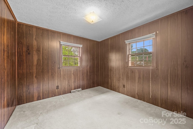 18 Progress Ln, Candler, NC 28715 - carpeted spare room with healthy amount of natural light, wood walls, and a textured ceiling