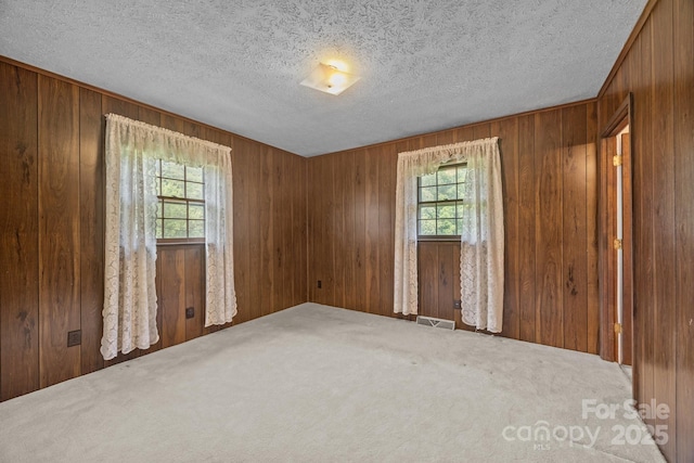 18 Progress Ln, Candler, NC 28715 - spare room with healthy amount of natural light, wooden walls, carpet floors, and a textured ceiling