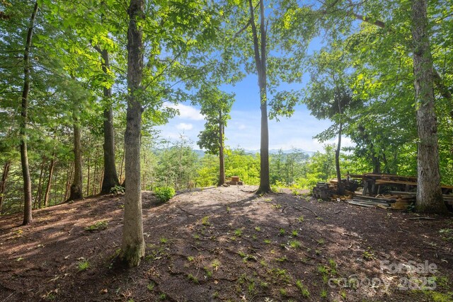 18 Progress Ln, Candler, NC 28715 - view of local wilderness