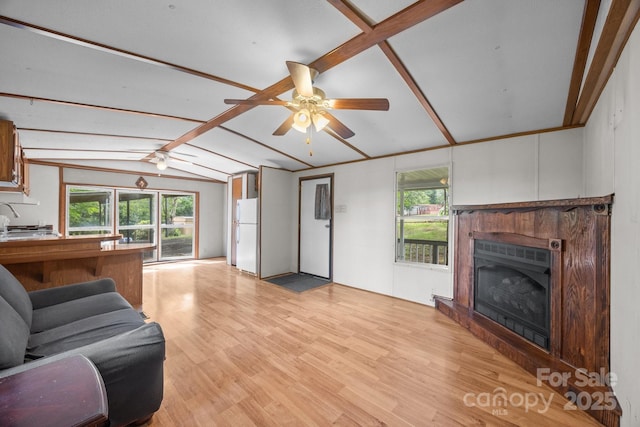 18 Progress Ln, Candler, NC 28715 - living area with light wood-style flooring, a fireplace with raised hearth, plenty of natural light, and ceiling fan
