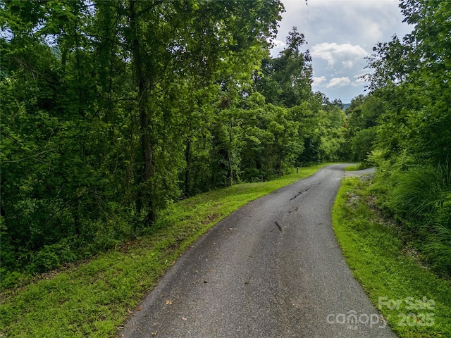 364 Chisel Rock Way, Weaverville, NC 28787