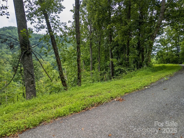 364 Chisel Rock Way, Weaverville, NC 28787