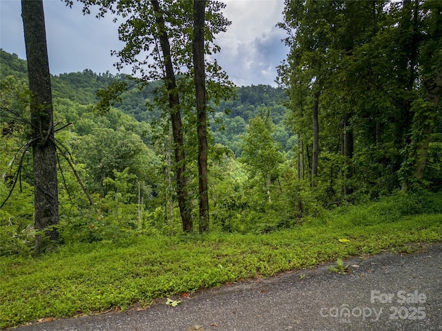 364 Chisel Rock Way, Weaverville, NC 28787