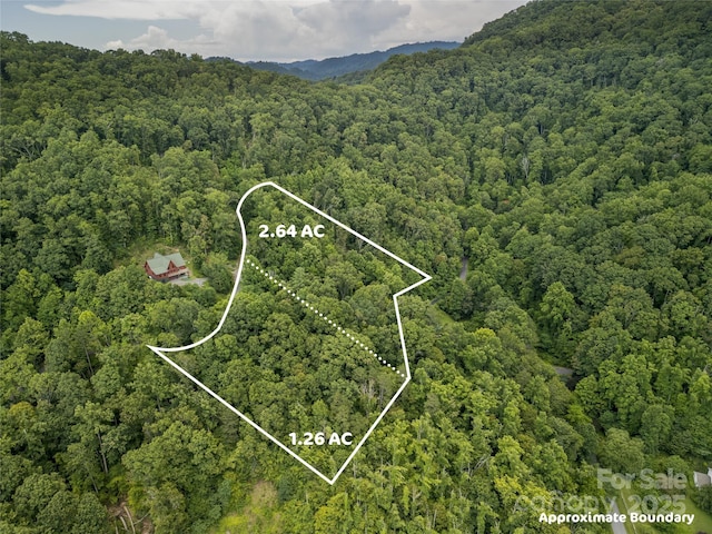 364 Chisel Rock Way, Weaverville, NC 28787