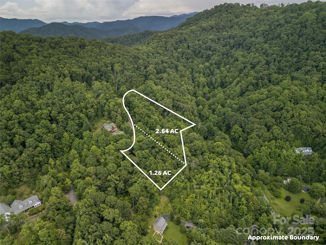 364 Chisel Rock Way, Weaverville, NC 28787