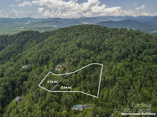 364 Chisel Rock Way, Weaverville, NC 28787
