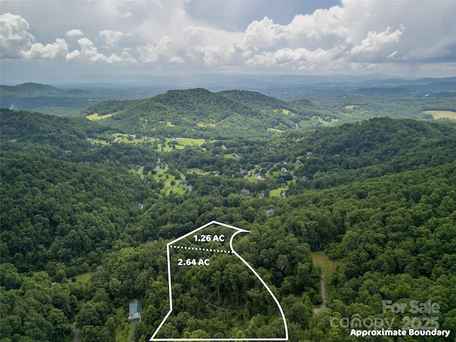 364 Chisel Rock Way, Weaverville, NC 28787