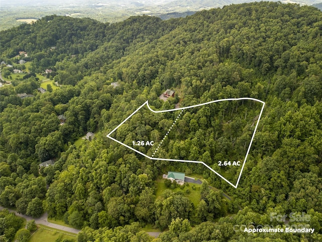 364 Chisel Rock Way, Weaverville, NC 28787