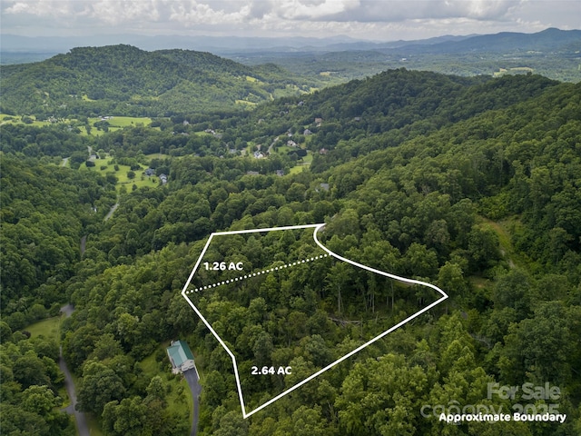 364 Chisel Rock Way, Weaverville, NC 28787