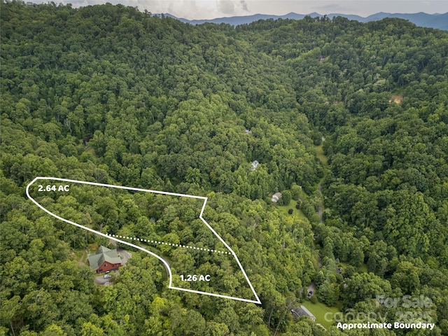 364 Chisel Rock Way, Weaverville, NC 28787