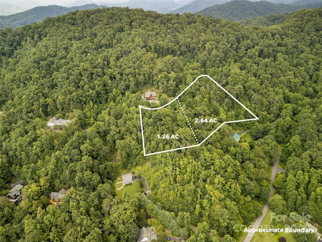 364 Chisel Rock Way, Weaverville, NC 28787
