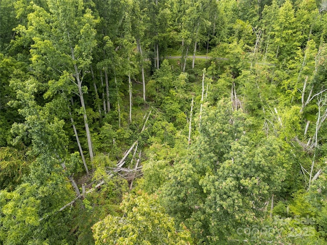 364 Chisel Rock Way, Weaverville, NC 28787