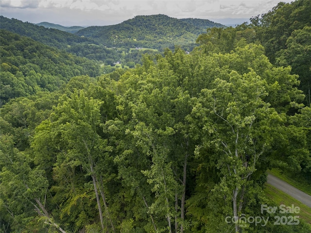 364 Chisel Rock Way, Weaverville, NC 28787