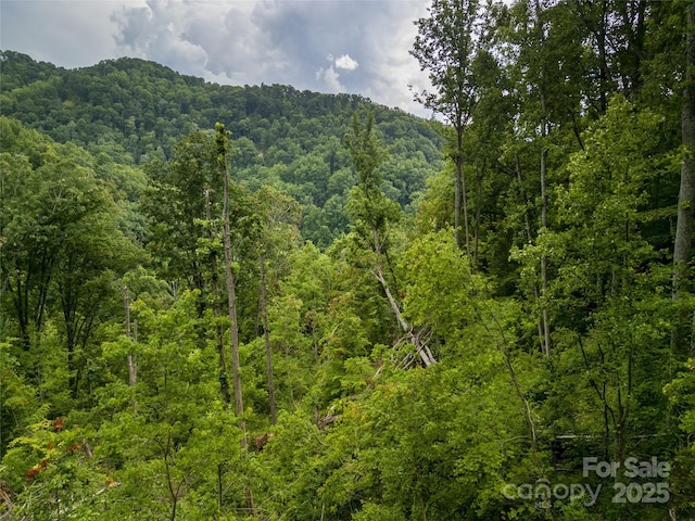364 Chisel Rock Way, Weaverville, NC 28787