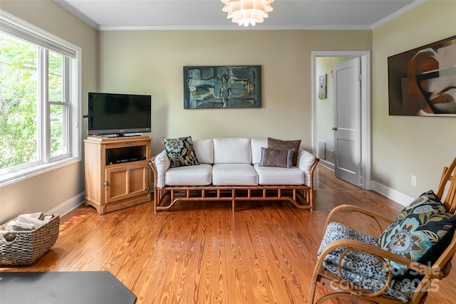 75 Cisco Rd, Asheville, NC 28805 - photo 24