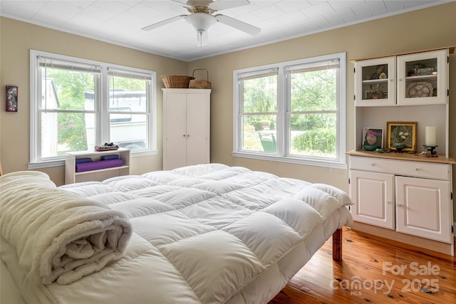 75 Cisco Rd, Asheville, NC 28805 - photo 15
