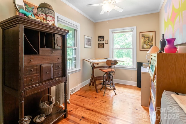 75 Cisco Rd, Asheville, NC 28805 - photo 43