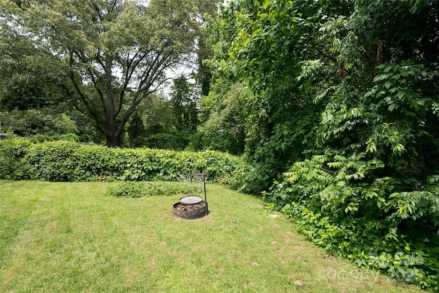 75 Cisco Rd, Asheville, NC 28805 - photo 46