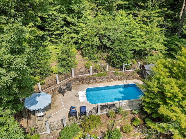 64 Wells Ln, Tryon, NC 28782 - view of swimming pool with a patio area