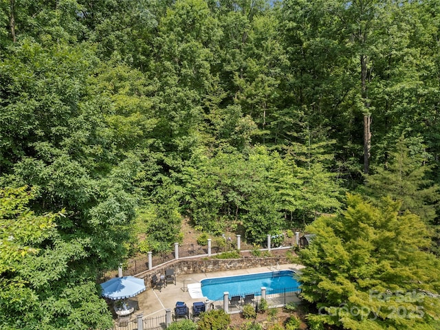 64 Wells Ln, Tryon, NC 28782 - view of swimming pool featuring a view of trees and a patio area