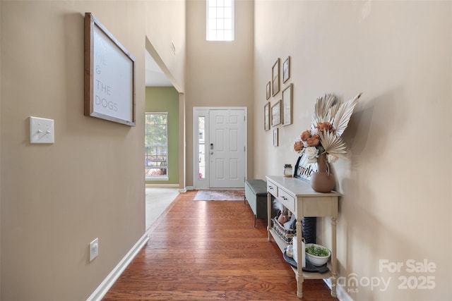 673 Stonehenge Dr, Rock Hill, SC 29730 - entryway featuring healthy amount of natural light, wood finished floors, and a high ceiling