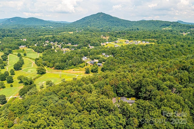 153 Hillhaven Pl SE, Lenoir, NC 28645 - photo 47