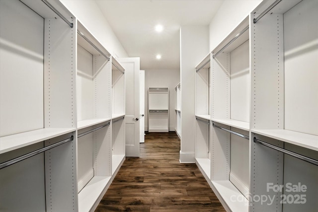 1106 Pomar Cir, Waxhaw, NC 28173 - walk in closet with dark wood finished floors