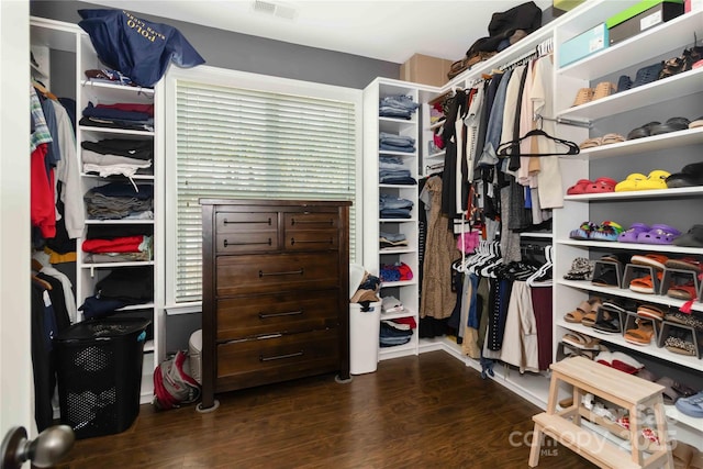 1041 Verbena Ct, Tega Cay, SC 29708 - walk in closet featuring dark wood-style floors
