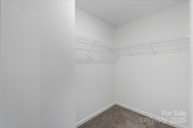 3015 E Ridge Rd, Salisbury, NC 28144 - photo 34