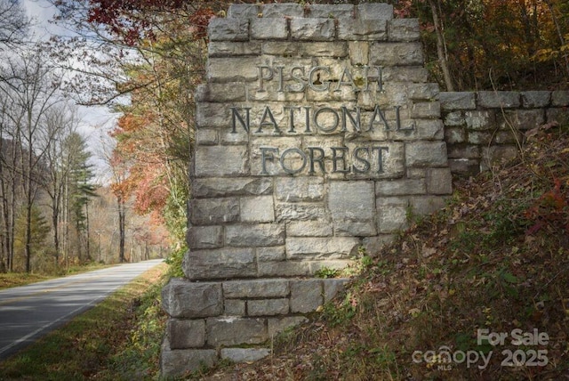 64 Mine Mountain Dr, Pisgah Forest, NC 28768 - photo 23
