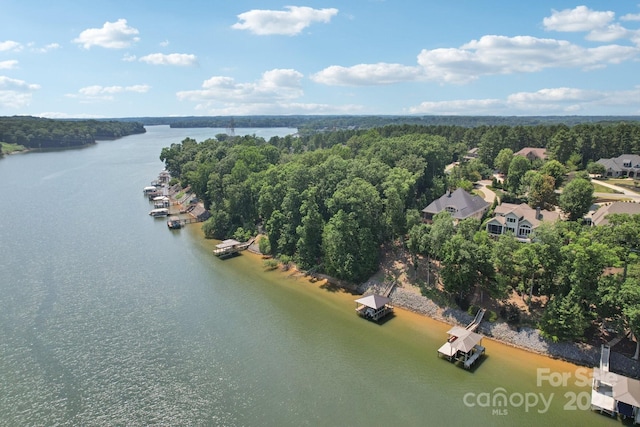 3229 Lake Pointe Dr, Belmont, NC 28012 - bird's eye view of a nearby body of water and a heavily wooded area
