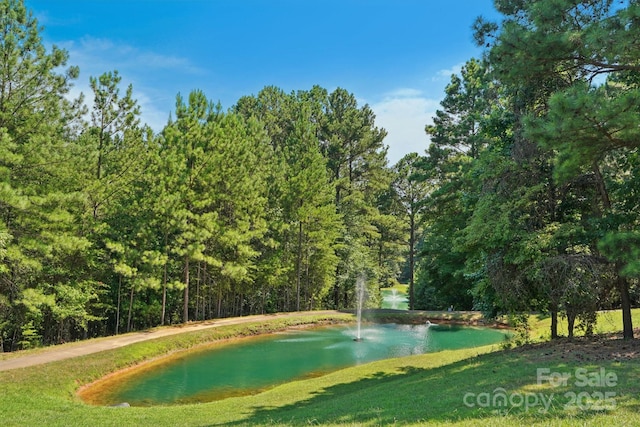 3229 Lake Pointe Dr, Belmont, NC 28012 - view of property's community with a water view, a yard, and a forest view