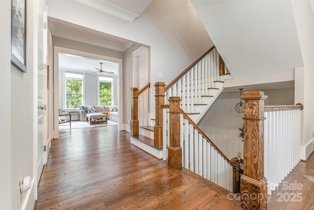 2938 Hillside Springs Dr, Charlotte, NC 28209 - photo 6