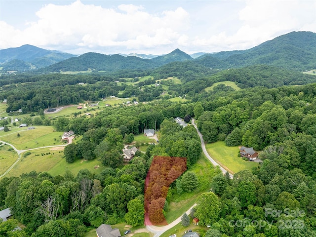 40 Sedgefield Pl, Clyde, NC 28721 - photo 1