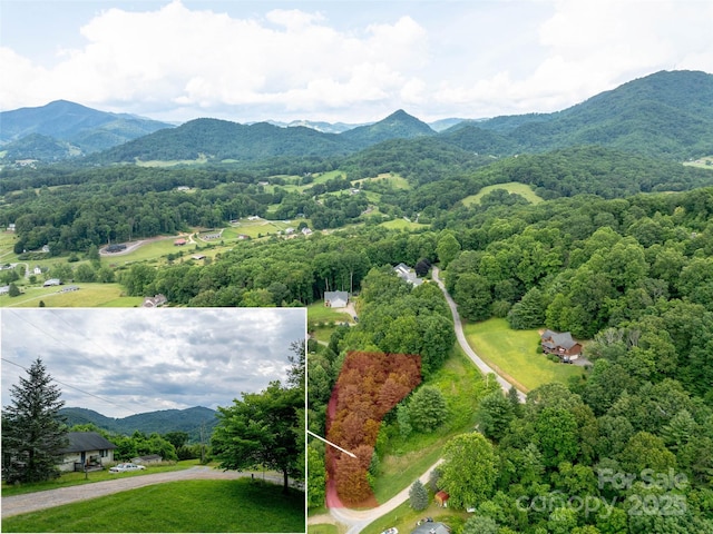 40 Sedgefield Pl, Clyde, NC 28721 - photo 2