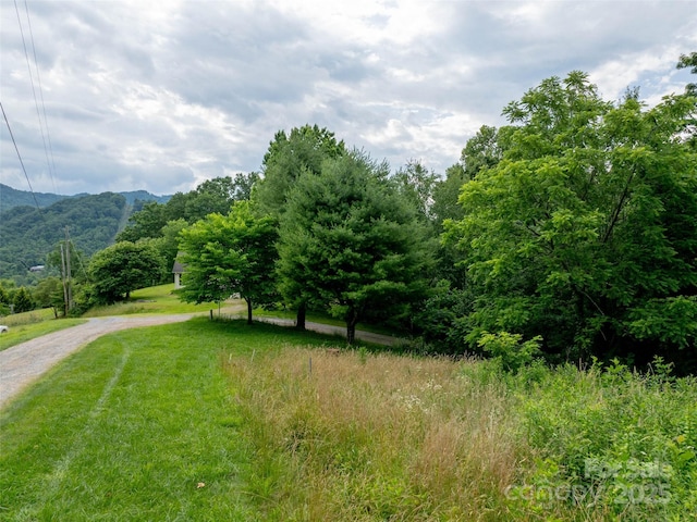 40 Sedgefield Pl, Clyde, NC 28721 - photo 3