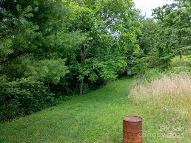 40 Sedgefield Pl, Clyde, NC 28721 - photo 5