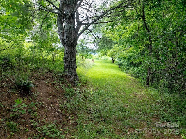 40 Sedgefield Pl, Clyde, NC 28721 - photo 6