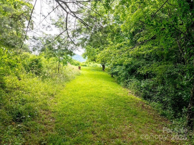 40 Sedgefield Pl, Clyde, NC 28721 - photo 7