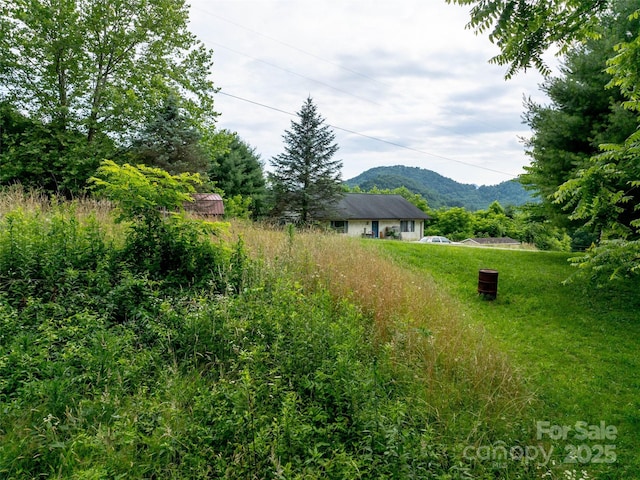 40 Sedgefield Pl, Clyde, NC 28721 - photo 8