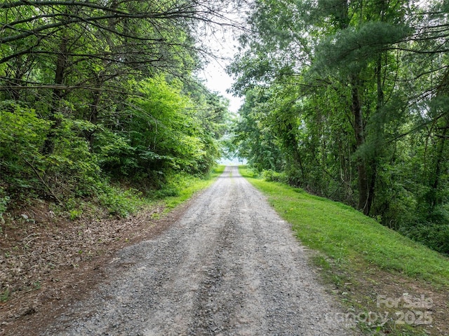 40 Sedgefield Pl, Clyde, NC 28721 - photo 11