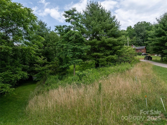 40 Sedgefield Pl, Clyde, NC 28721 - photo 14