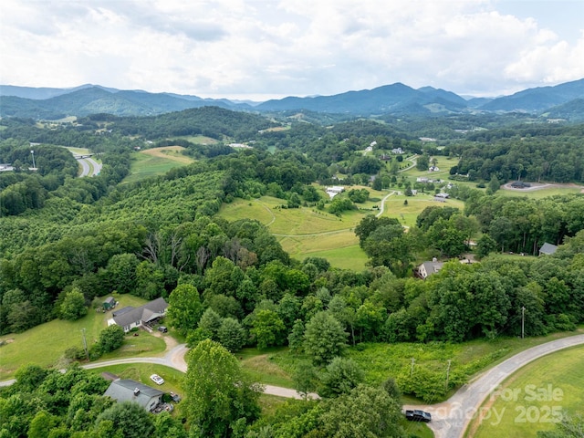 40 Sedgefield Pl, Clyde, NC 28721 - photo 15