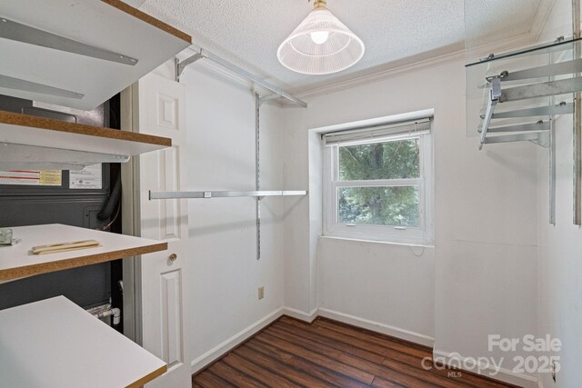 630 Burrage Rd NE, Concord, NC 28025 - walk in closet featuring dark wood finished floors
