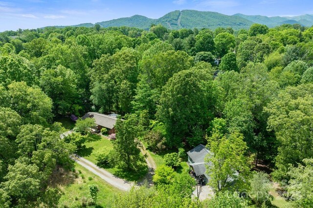 33 Grandview Ct, Asheville, NC 28806 - photo 1