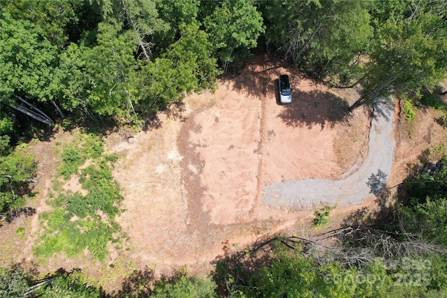 TBD Bryson Rd, Brevard, NC 28712 - photo 3