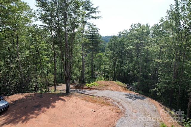 TBD Bryson Rd, Brevard, NC 28712 - photo 4