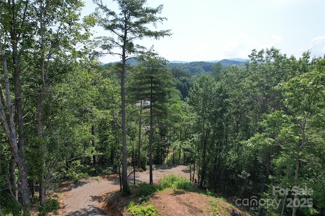 TBD Bryson Rd, Brevard, NC 28712 - photo 5